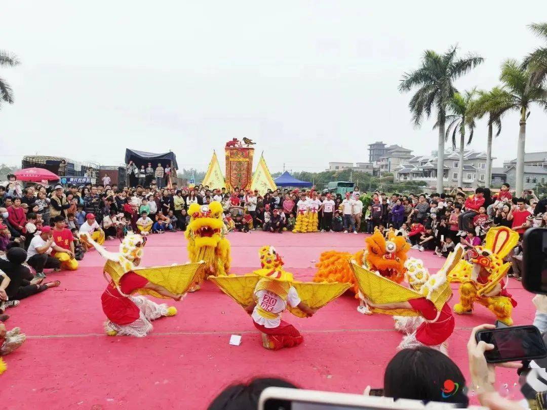 湛江起舞,万人狂欢!看年例民俗文化如何湛放异彩