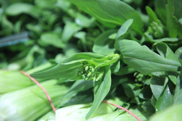 昨日,记者走访宁波农副产品物流中心时看到,春笋,菜蕻,蚕豆,马兰头等