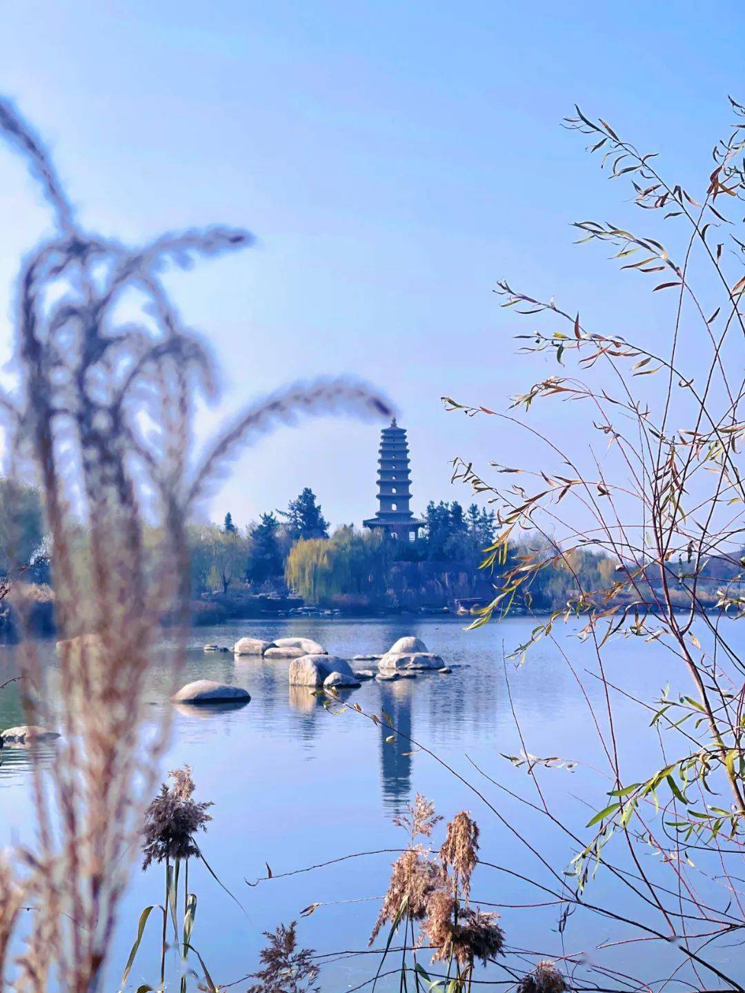 味道_户县_韭菜