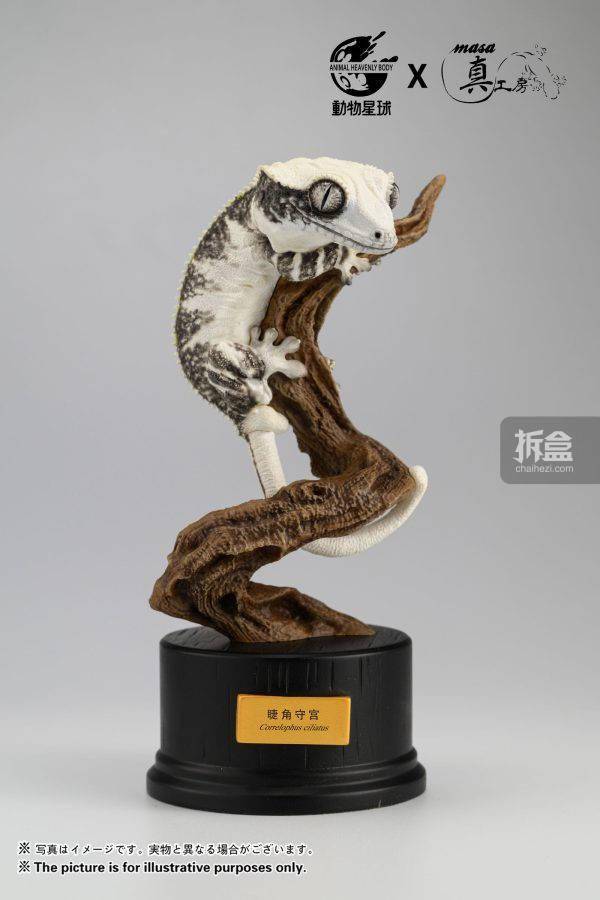 动物星球 真工房 写实系列 莉莉白守宫树栖姿态gk摆件_产品_官方_底座