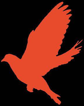 太仆寺旗"老兵宣讲团"深入骆驼山镇开展红色宣讲进校园活动_教育_传承