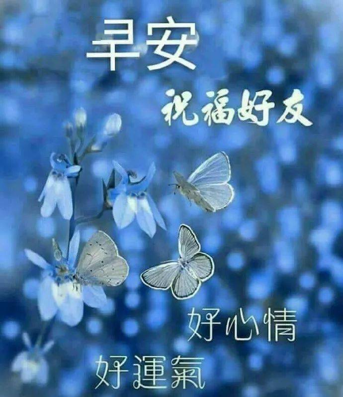 清晨问候朋友早安暖心祝福语录句子