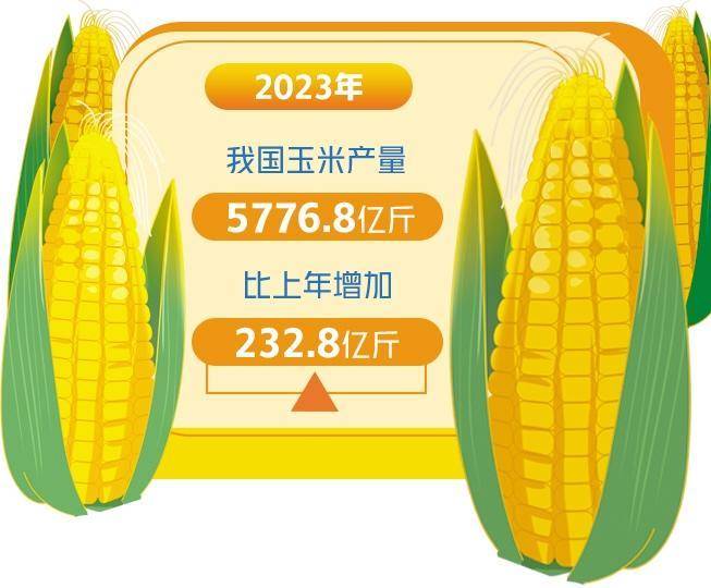玉米增储提振市场信心