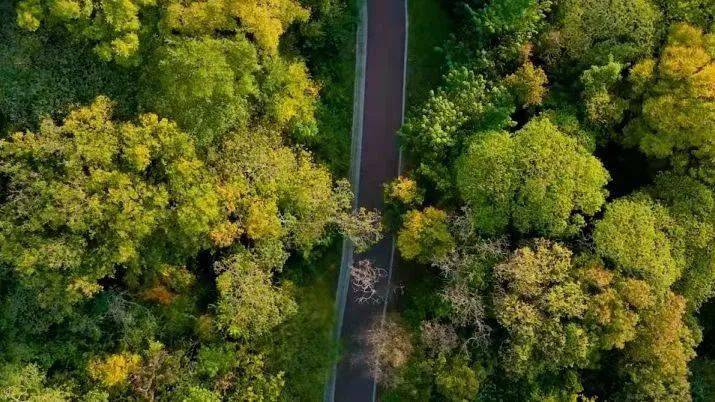 景区_镇江_踏青