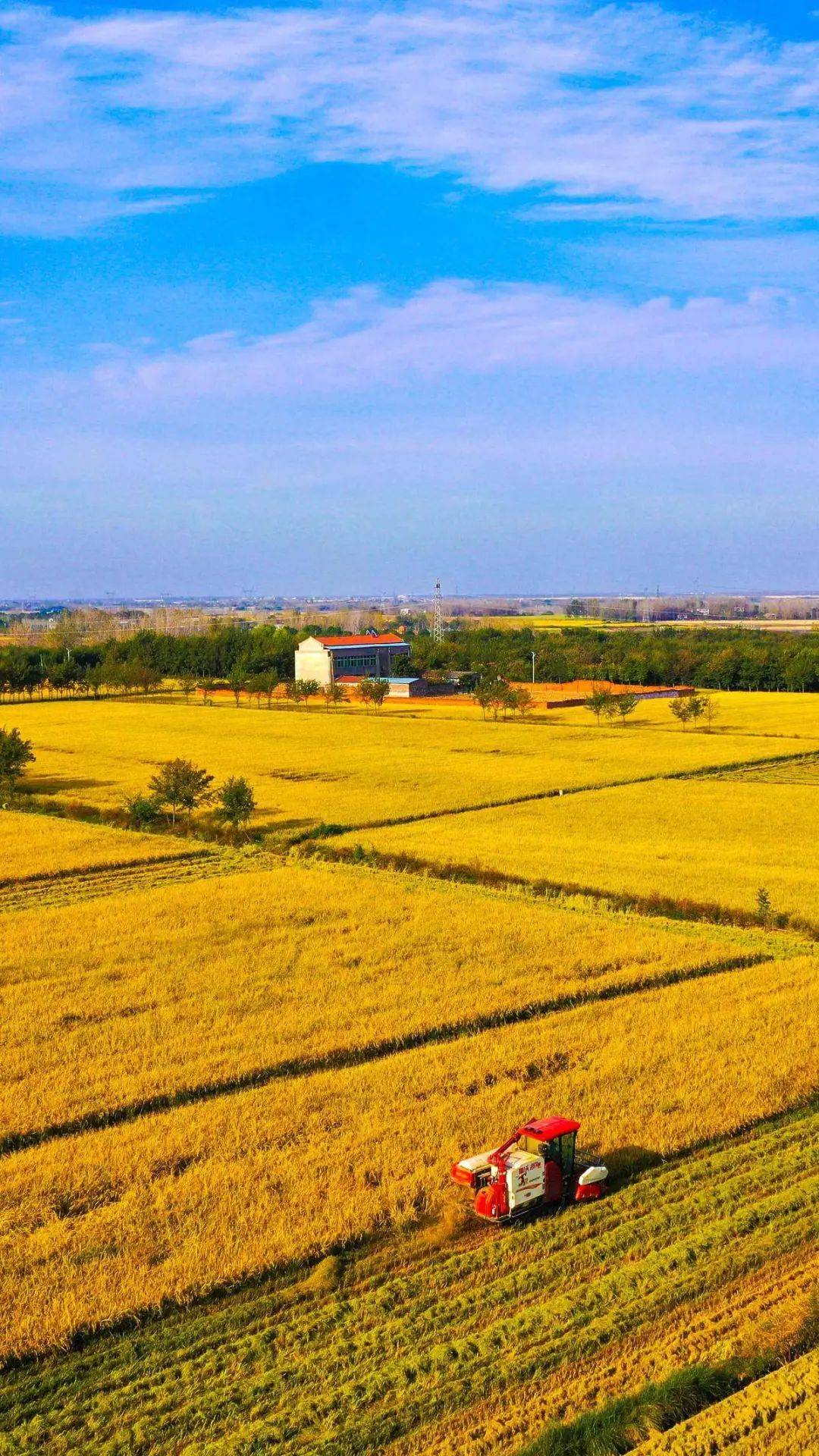 (湖北日报全媒记者 田悦 通讯员 李雯艳 谢勇 摄)严格落实耕地保护