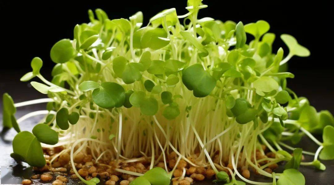 只有春天能吃到的14种食材,错过这几个月再等一年_蔬菜_维生素_营养