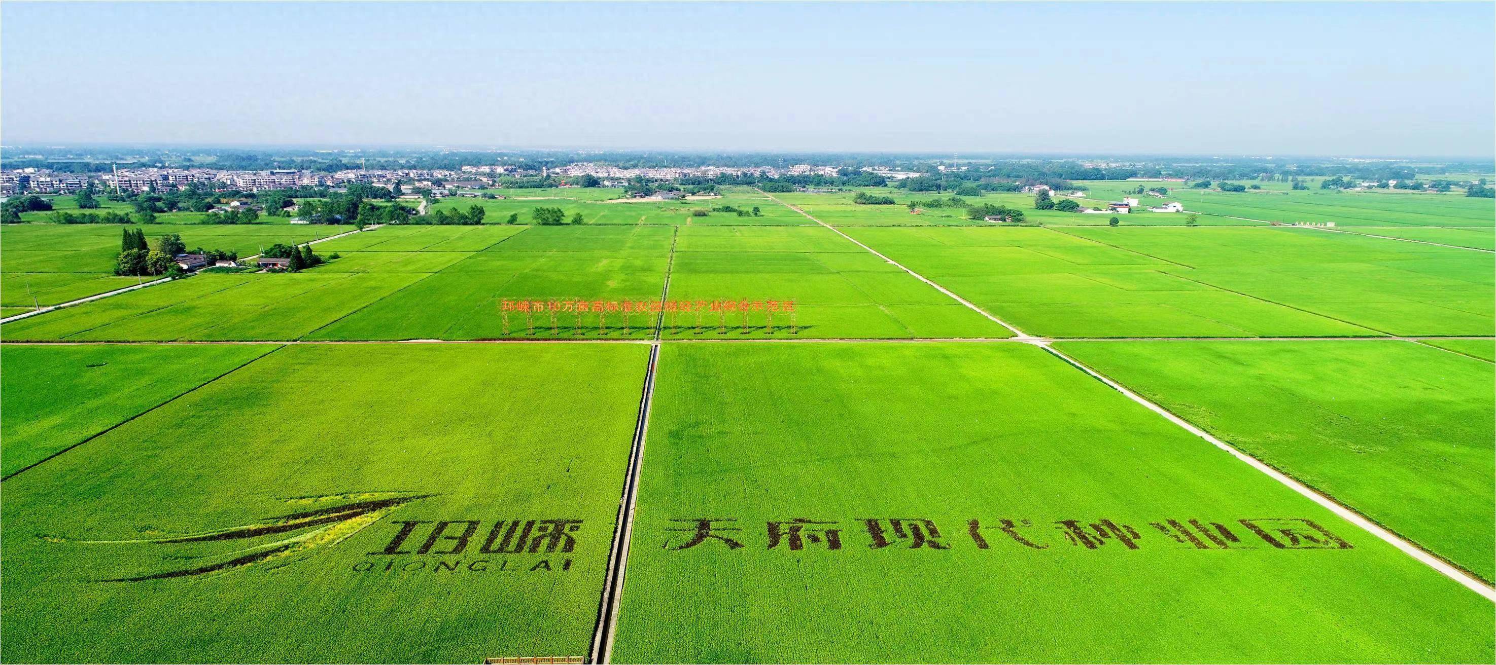 邛崃:抓住种子和耕地两个要害 助力川种振兴和"天府粮仓"打造_农业