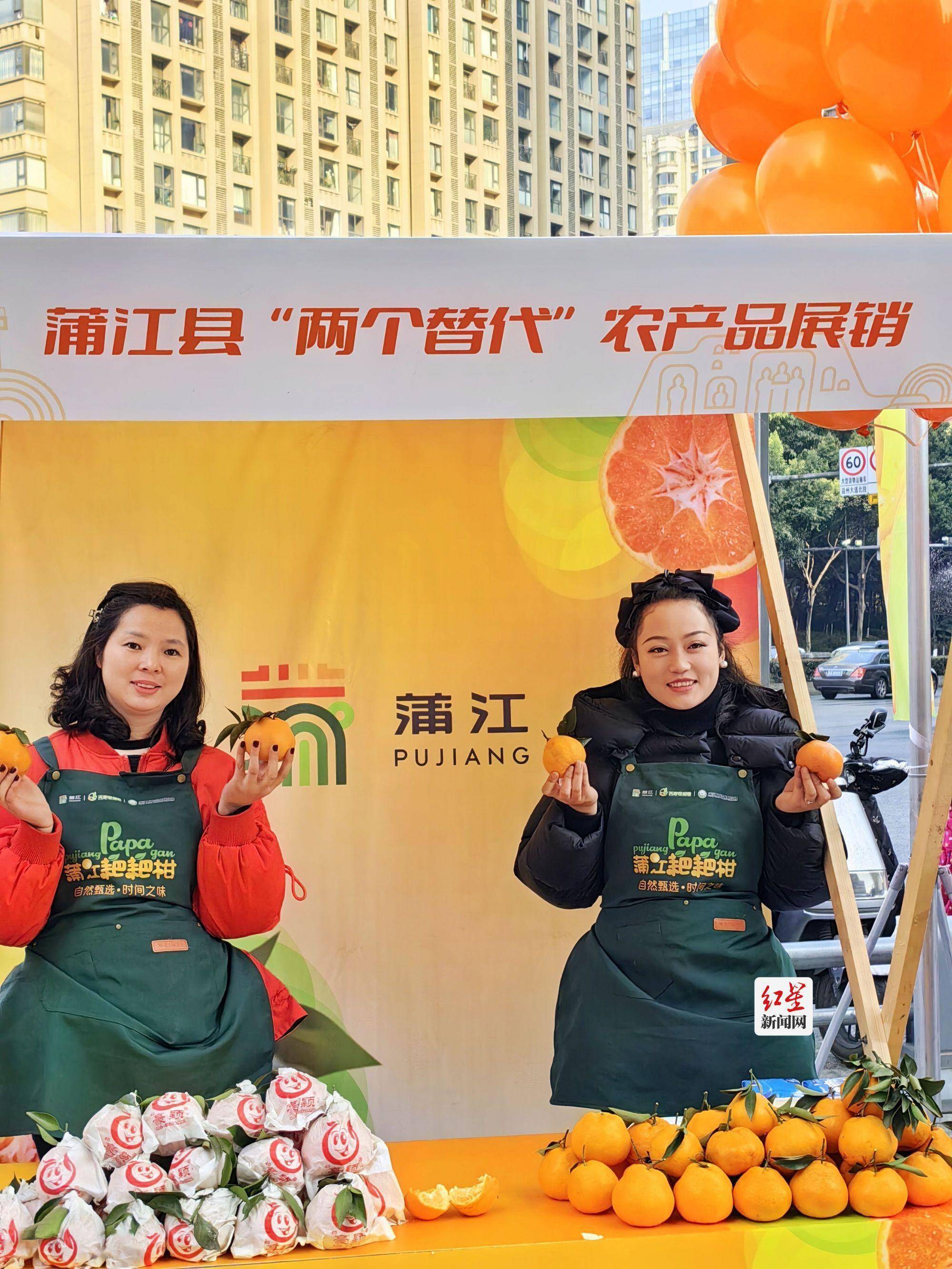 蒲江县"两个替代"农产品推介暨蒲江耙耙柑品享会在成都举行_农业_种植