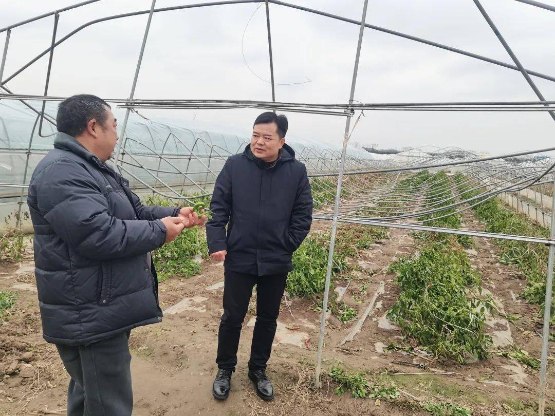 抗灾救灾专刊⑩|松滋农商银行全面发力为灾后复产工作