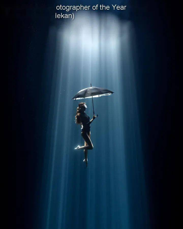 underwater photographer of the year_英国_鲸鱼_螃蟹