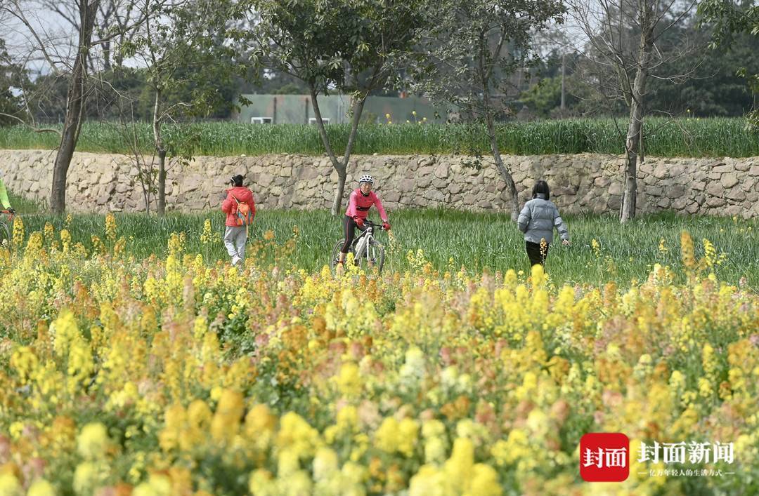 五彩田园追春天丨图集
