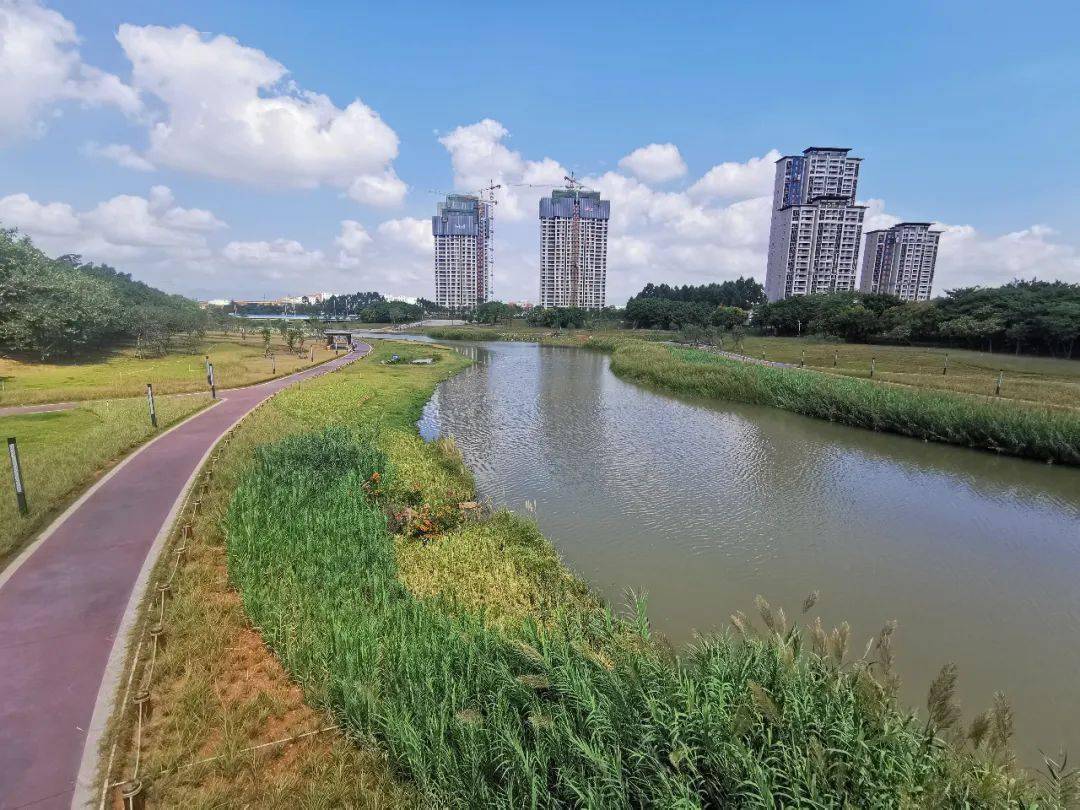 昔日"黑臭水"变身"网红景"!看同安埭头溪"蝶变"