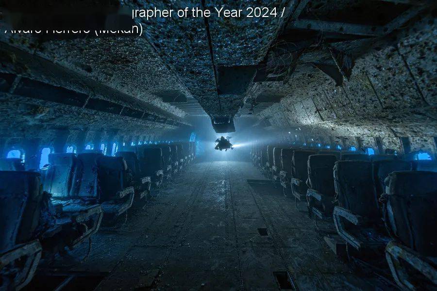 underwater photographer of the year_英国_鲸鱼_螃蟹