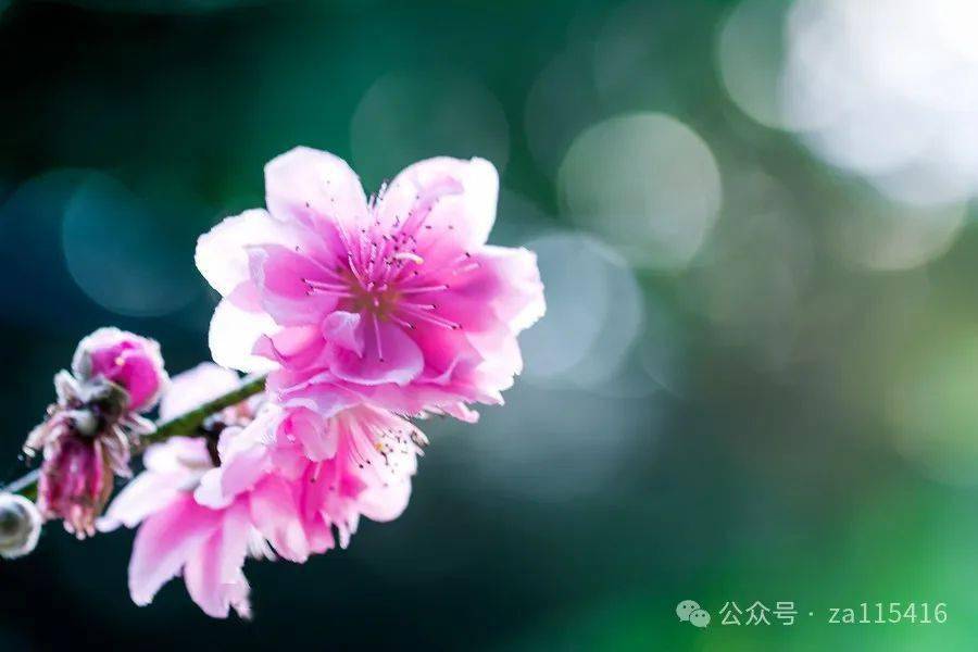 《中国爱情诗刊》(第2802期)"中华微型诗"同题诗会