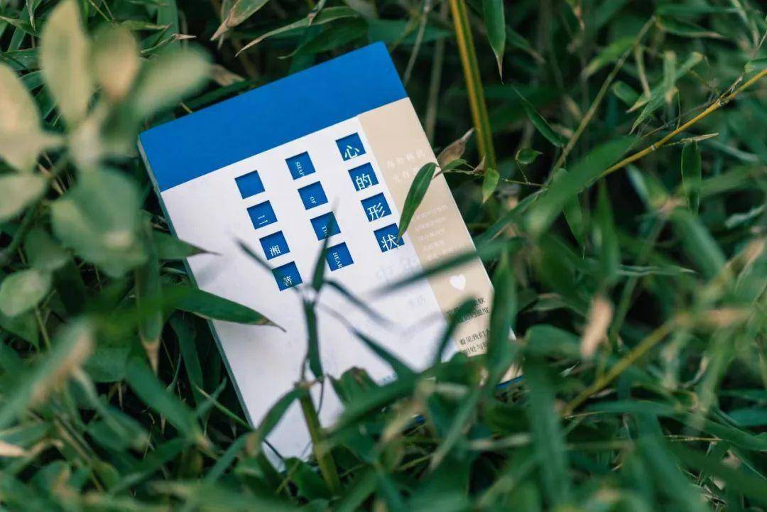 即使身在海外,"中国式母女关系" 也是难解的谜题_珍妮_医生_女儿