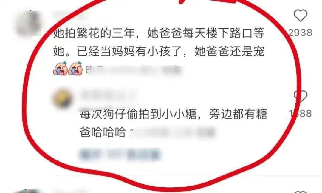 杨幂唐嫣,各自的"赌局"_爸爸_罗晋_汪小姐