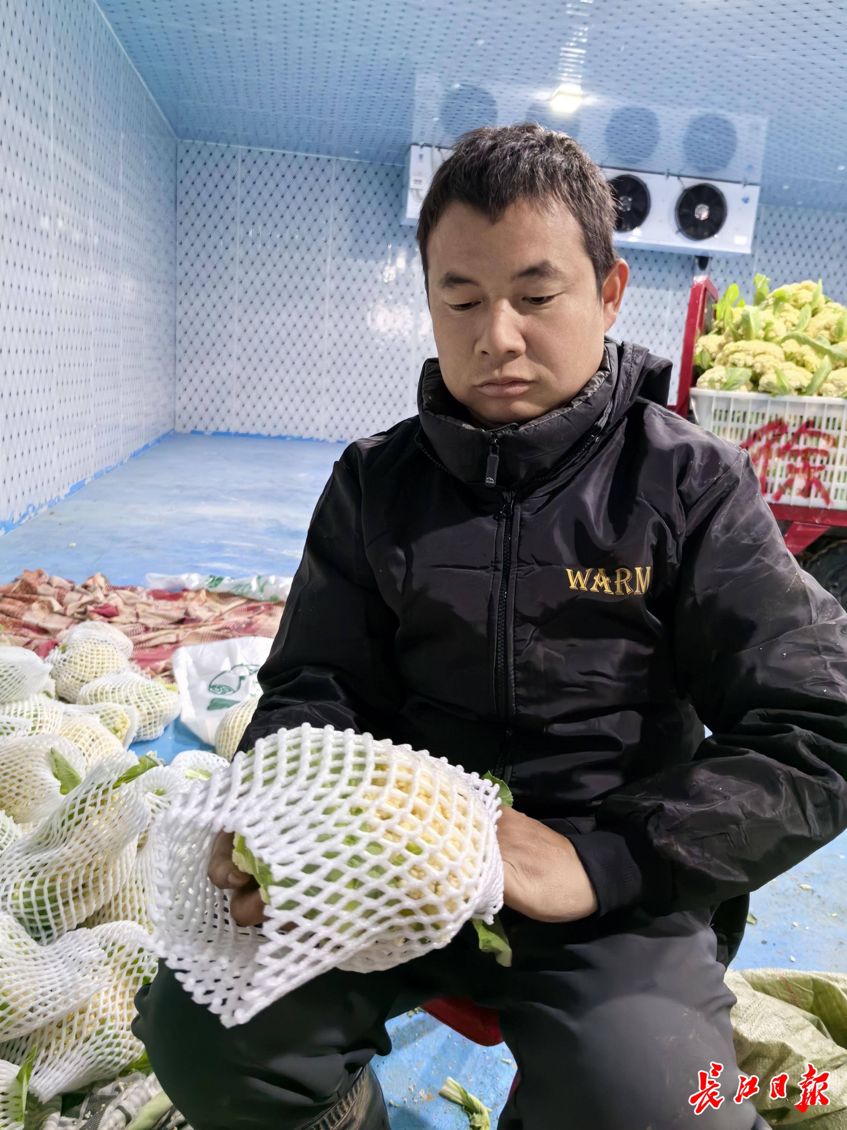 回乡新农人联合百家农户抱团创业 打造有机蔬菜产业链增收致富_徐红斌