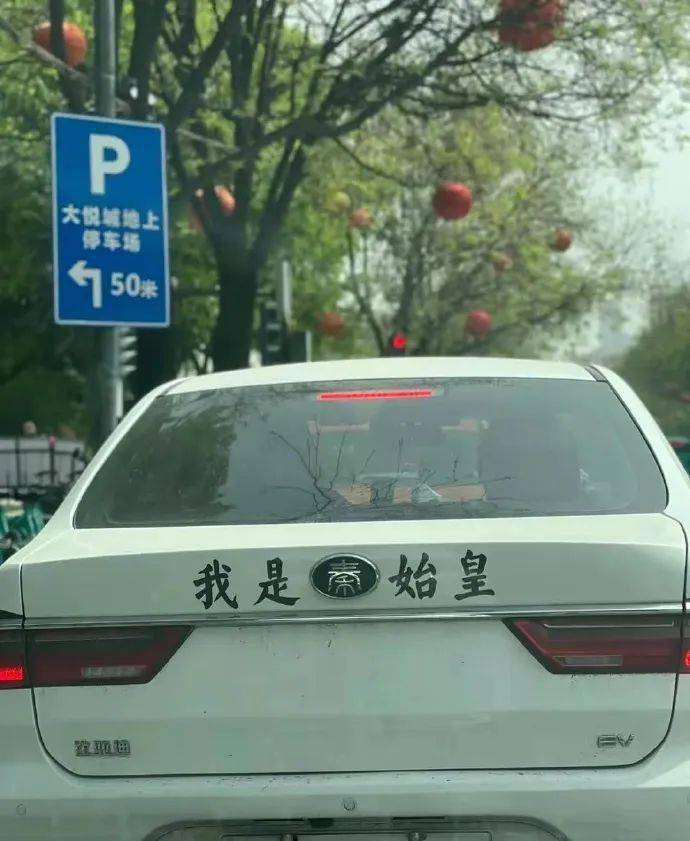 搞笑丨堵车路上要被这些标语笑鼠