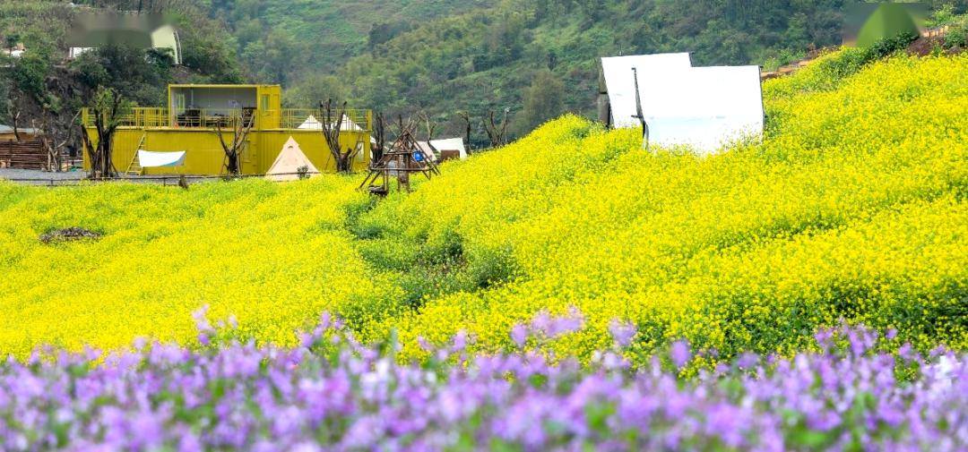 免门票→ →"蒲公英"可以承包我们的整个春天~_活动_营地_成长
