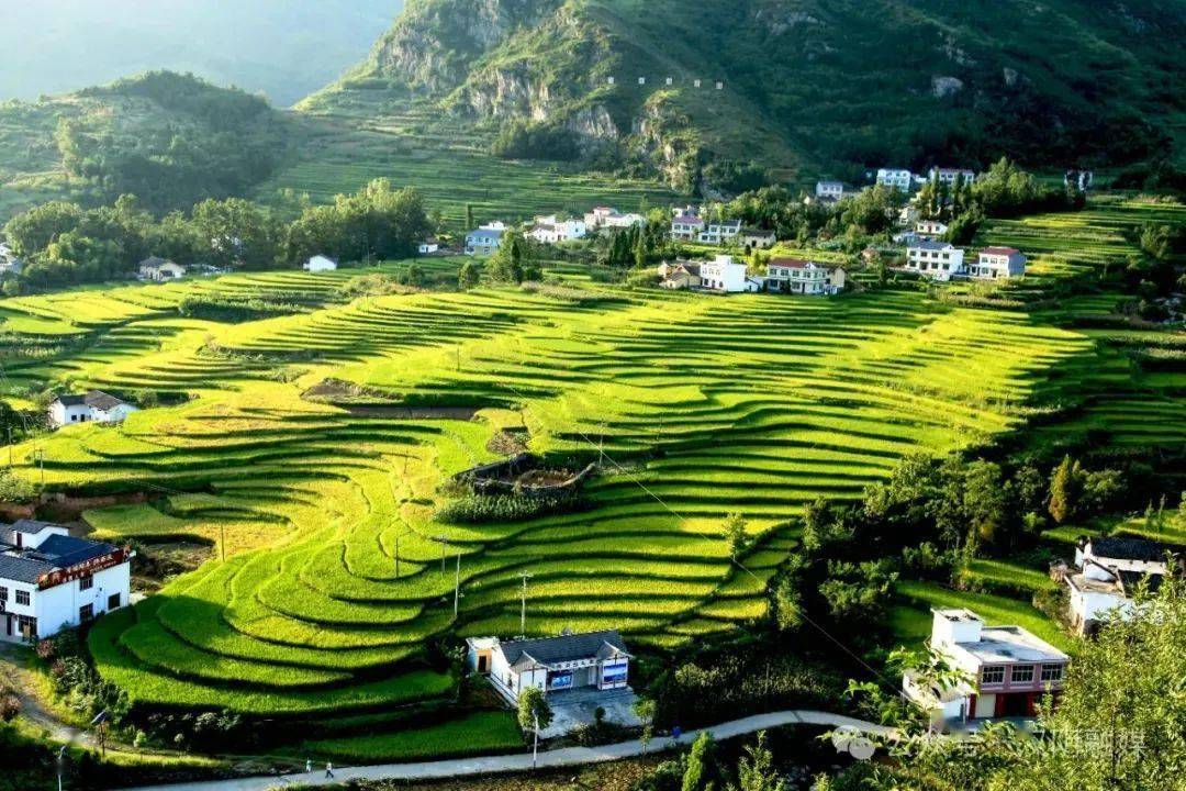 跟着这4条线路畅游小城春意浓_汉阴_观光_梯田