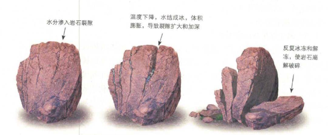 高考地理 | 小尺度的地方性分异规律_云海_影响_秦岭