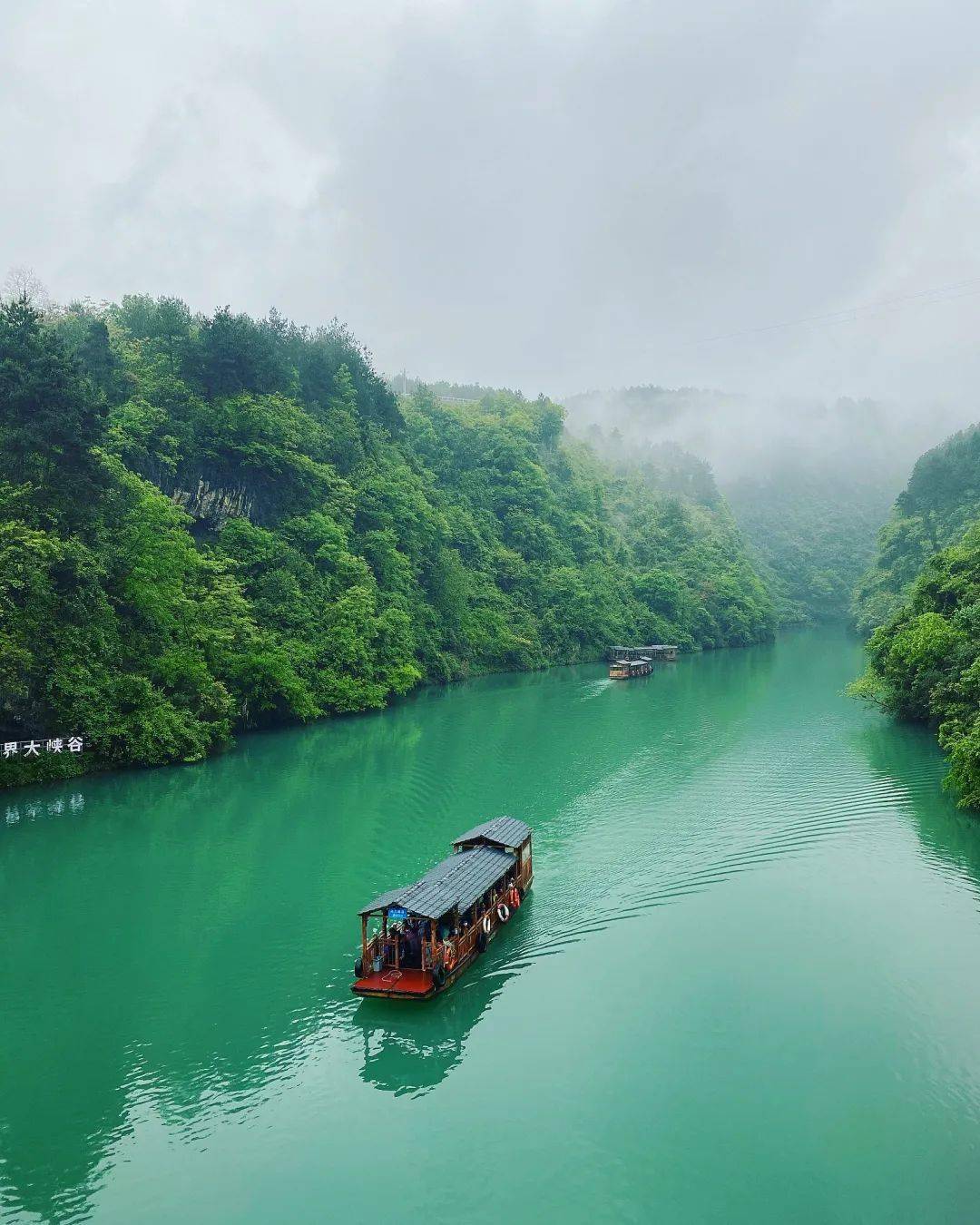 张家界:又被韩国人「孝」到了