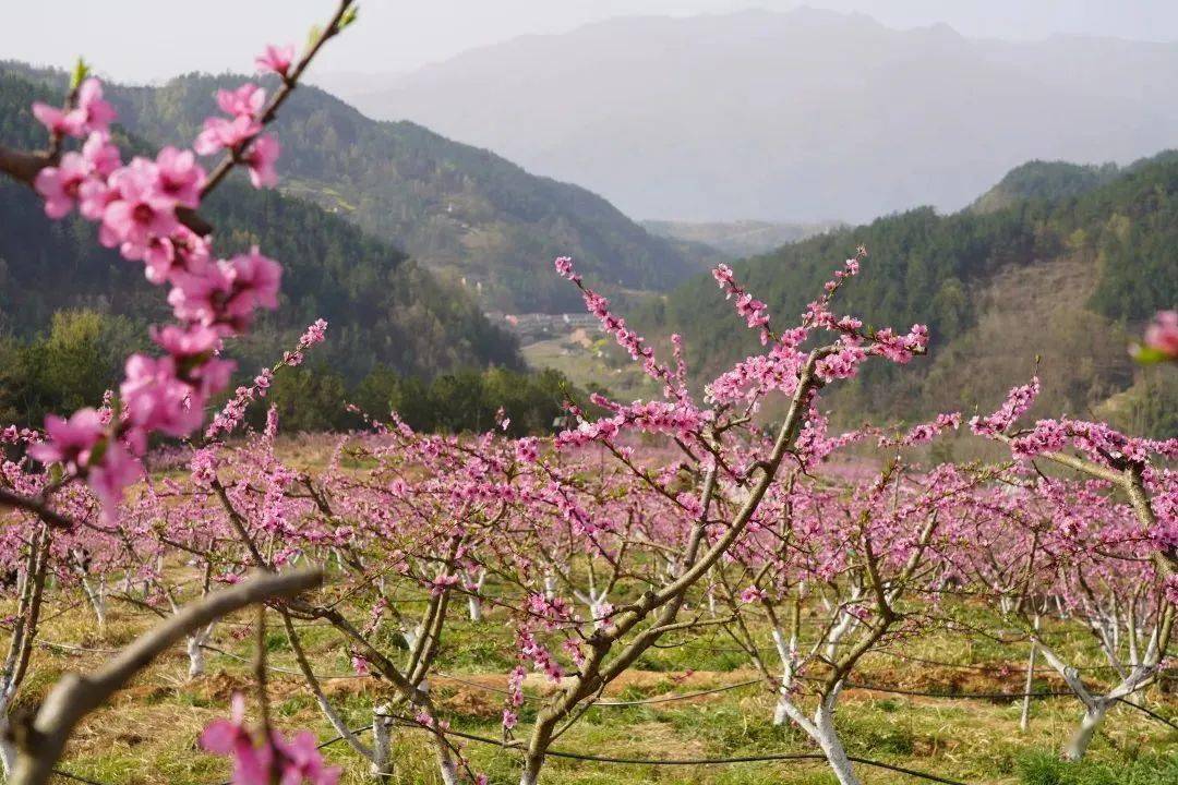 安康汉阴桃花谷地址图片