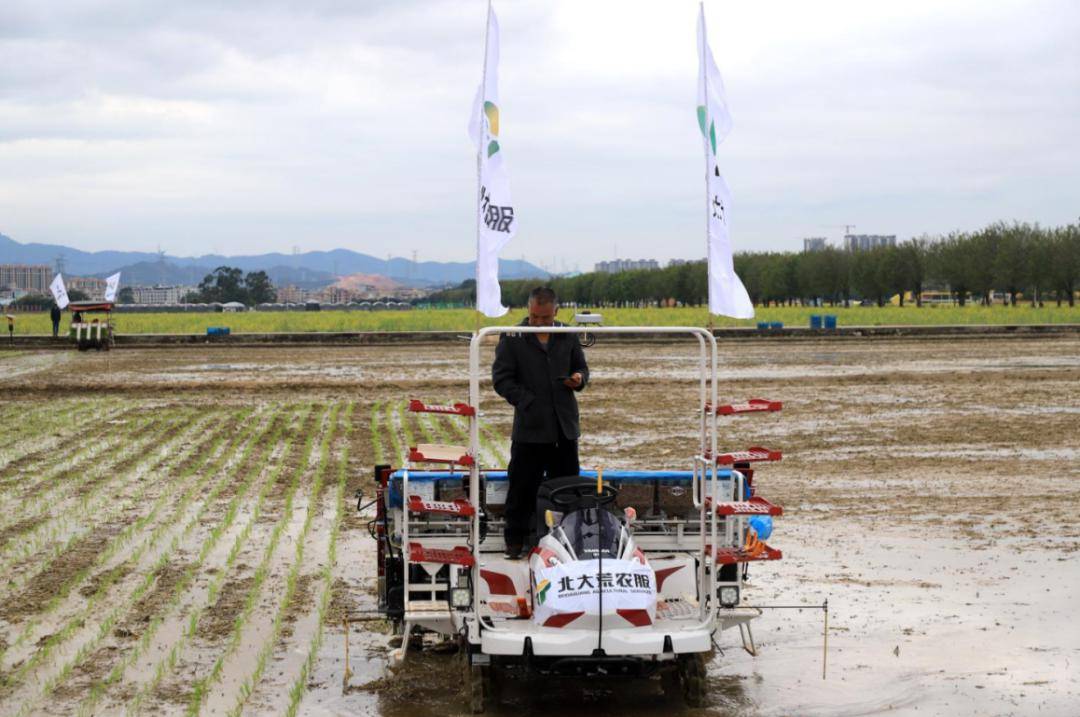 增城田间地头"火力全开"!_生产_工作_农业