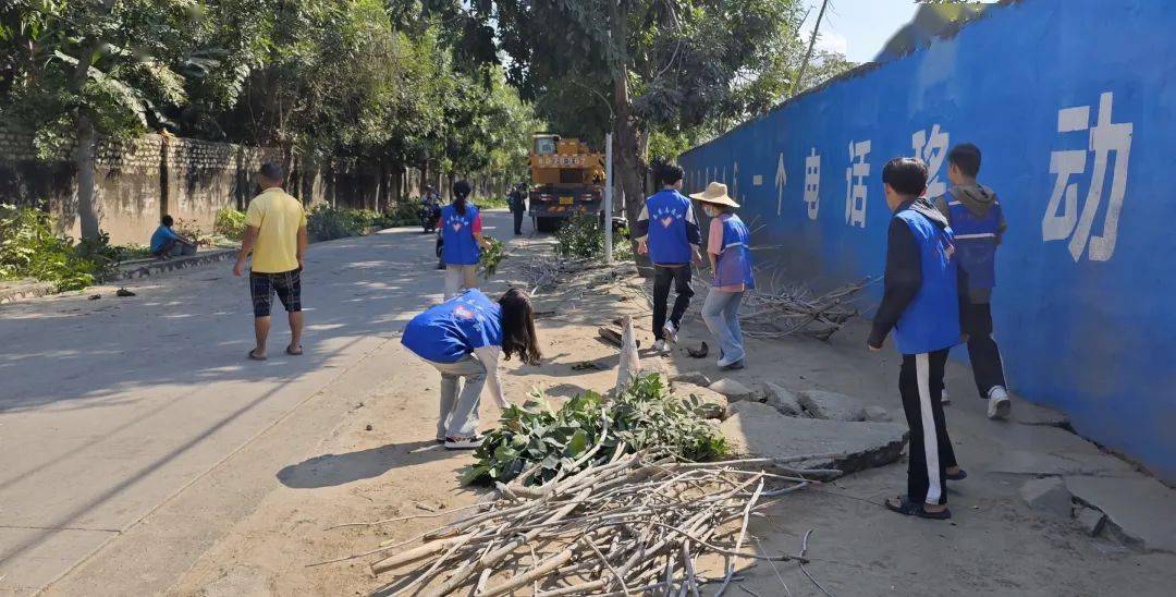 返家乡|当大学生们返回乐东,都在做什么?_实践_活动_工作