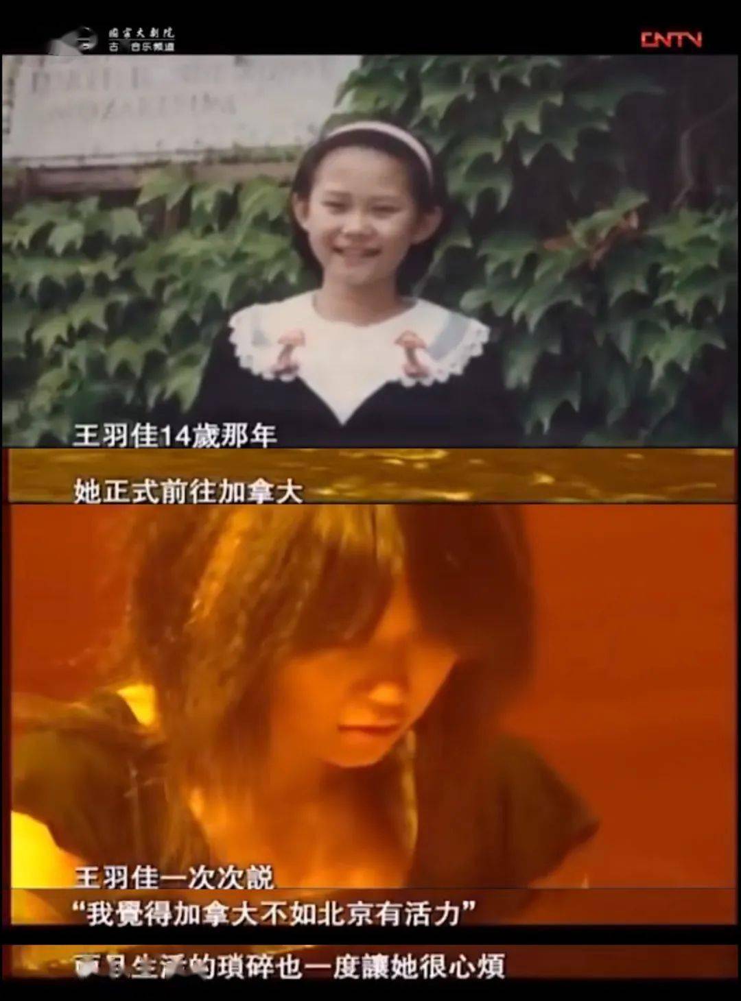 王羽佳_郎朗师_女性