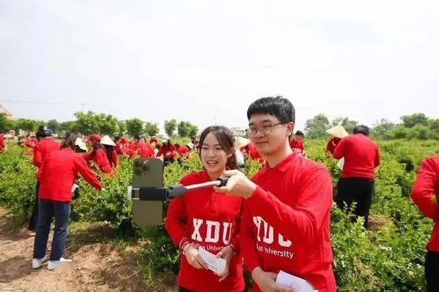 网络直播已成新农活如何吸引青年回得来留得下干得好