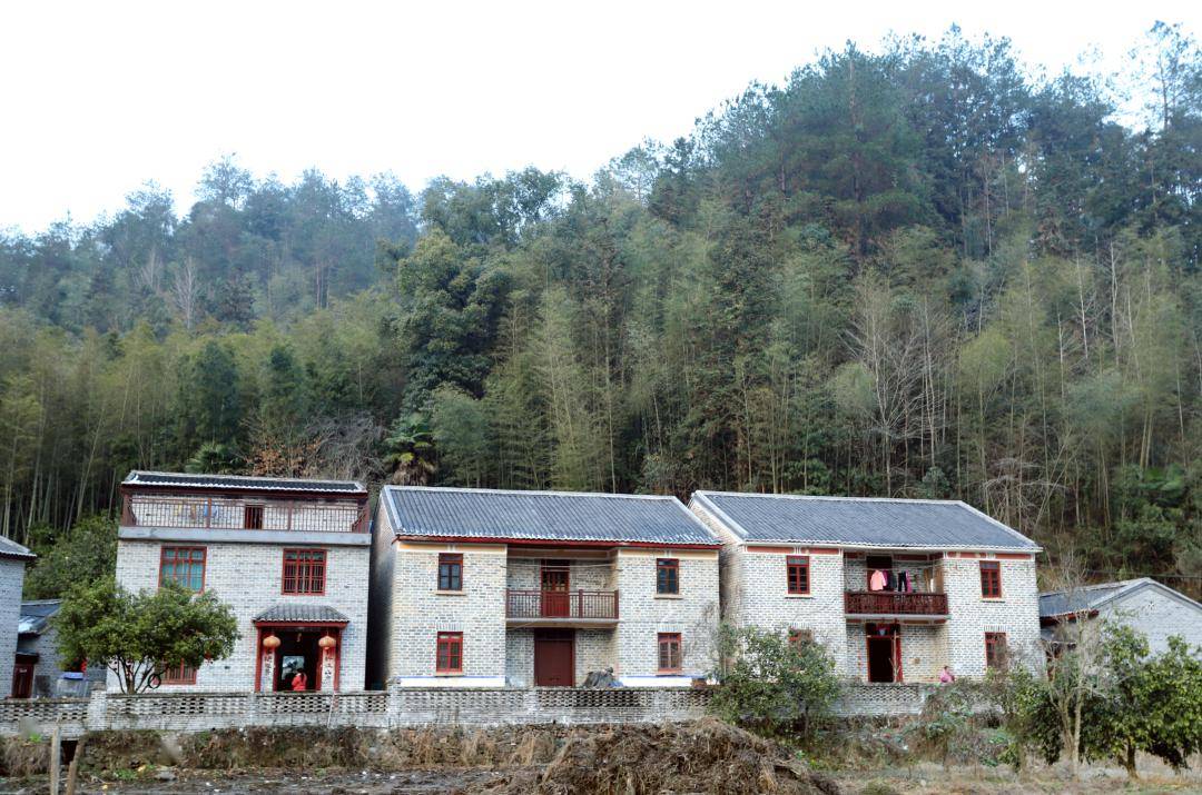 三湾乡才丰乡石山乡村建设点是龙安村新农村建设全域推进的一个项目