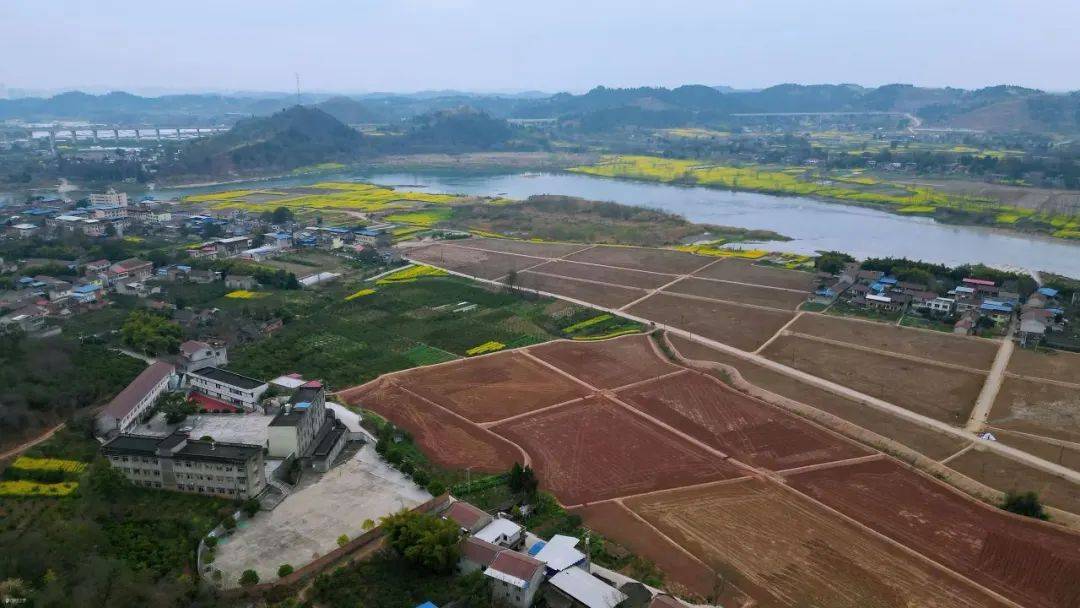 快来围观资阳保和镇这个在建中的马蹄湾村~_高速路口_土地_养殖