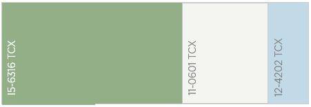 流行色 | 永不过时的灰绿色 - 2025春夏流行色彩趋势