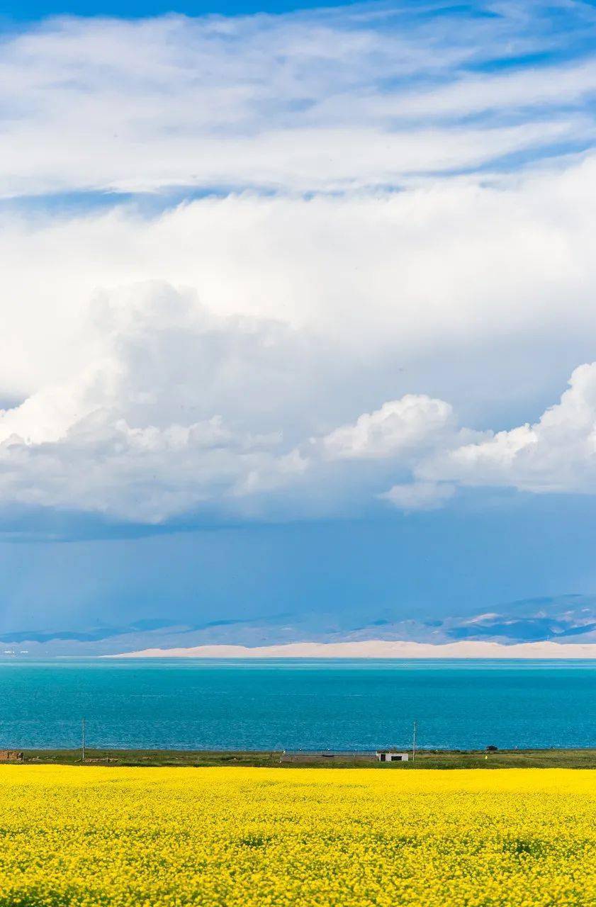 或许只有去过,才能懂得!_中国_花海_文化