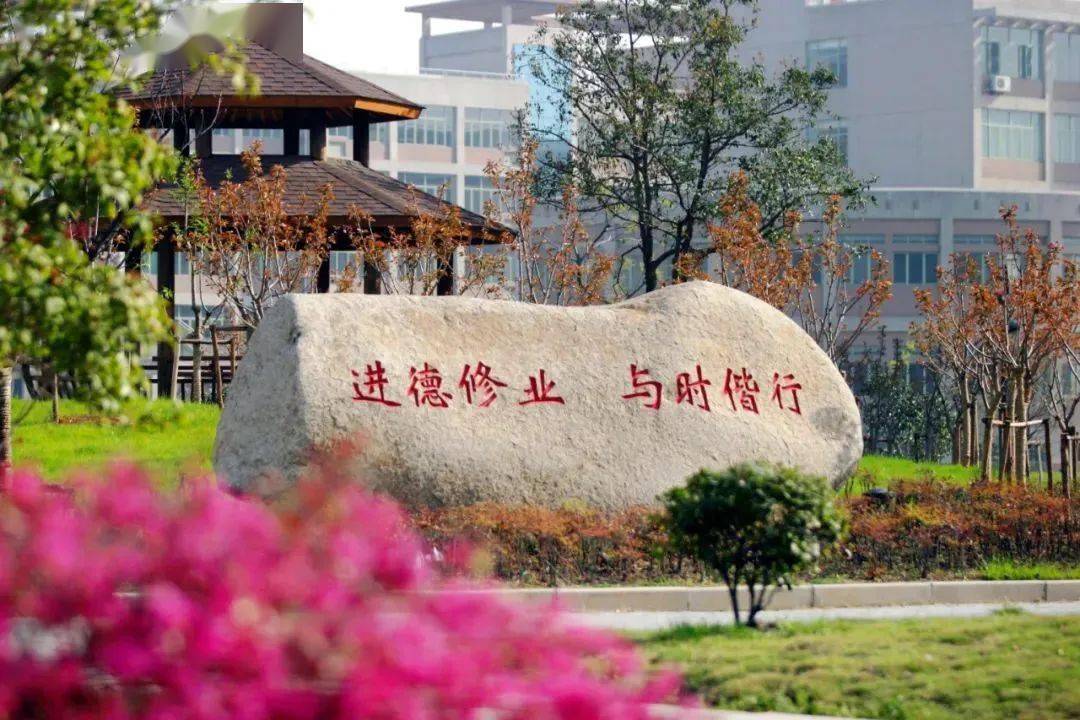 浙江财经大学 校门图片