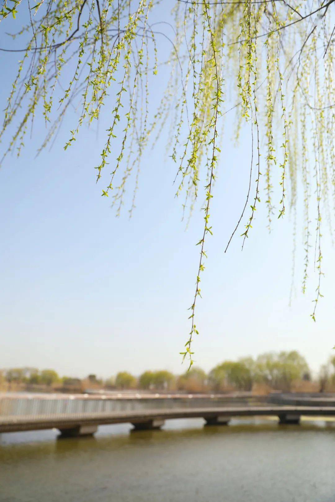 跟着浦马游浦口3月春暖花开时来浦口玩呀