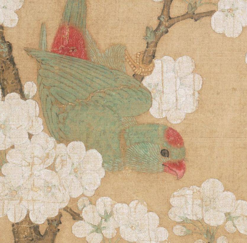 宋 佚名 梨花鹦鹉图波士顿美术馆北宋 赵佶 桃鸠图日本私人北宋 赵佶