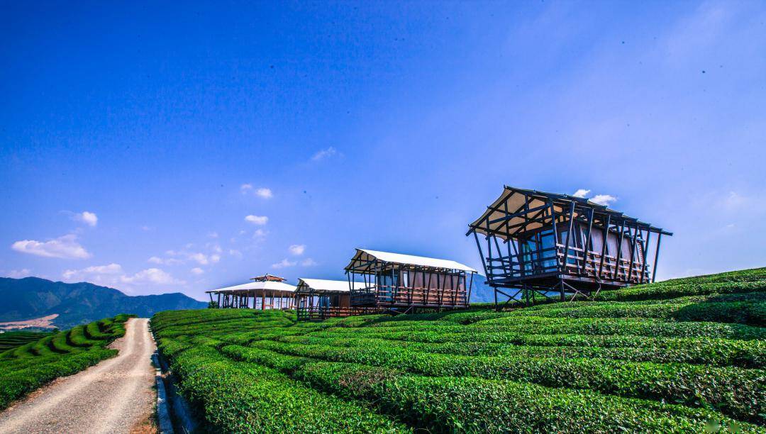 春游旌德丨三月的慢城仙气满满又美又治愈