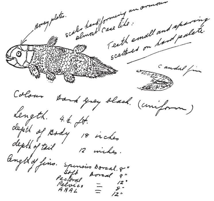 2023"最美科学阅读"榜单 | 《寻找我们的鱼类祖先:四亿年前的演化之谜