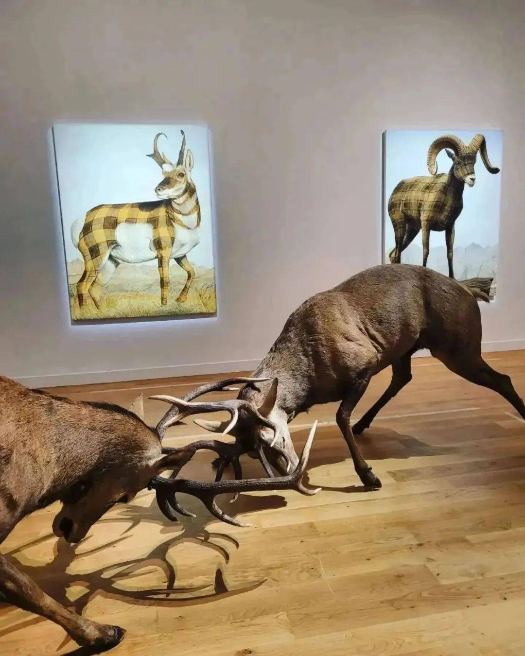 巴黎狩猎自然博物馆图片