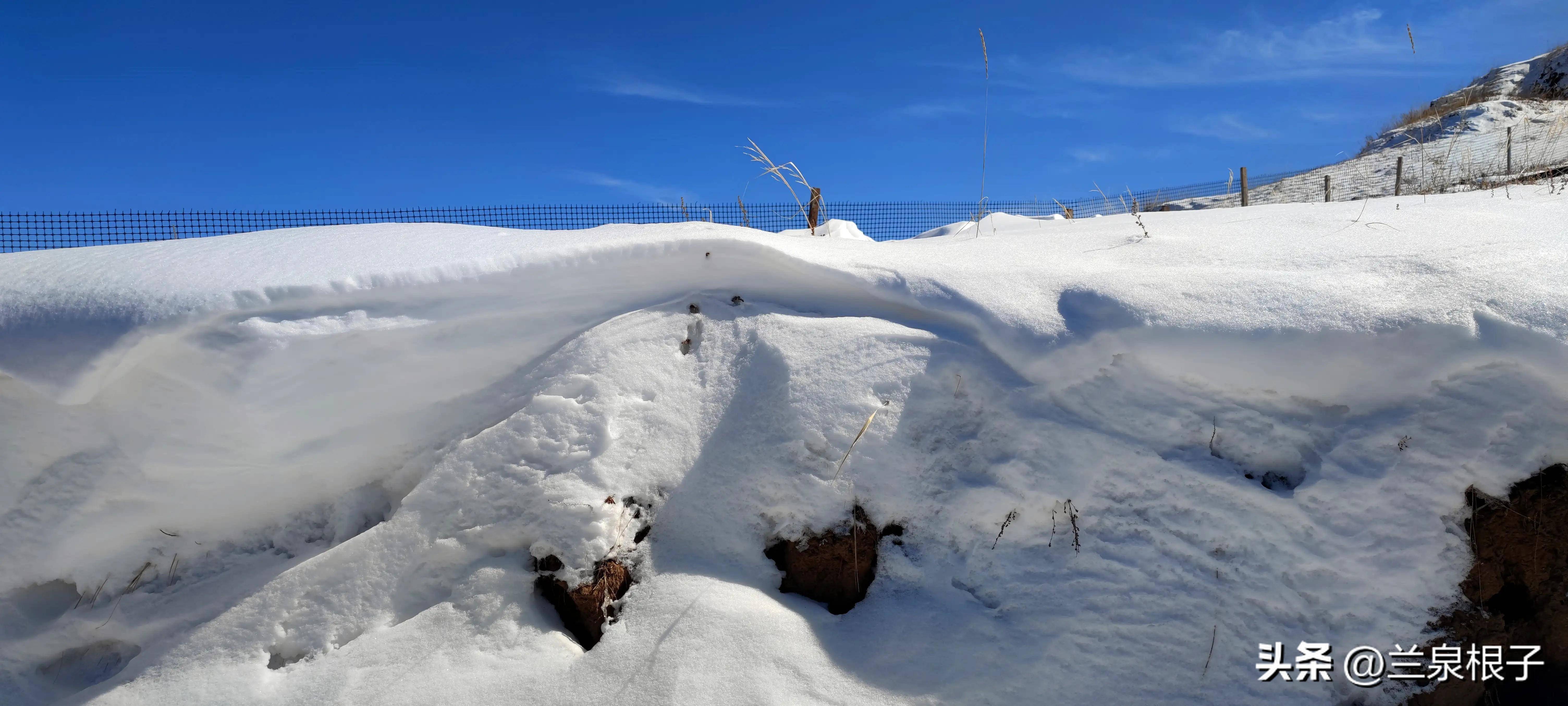 激情雪地行