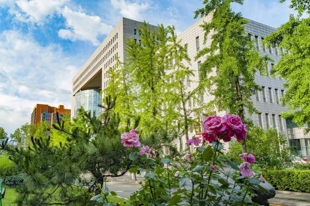 通知公告北京语言大学2024届毕业生春季学期校园招聘正式启动