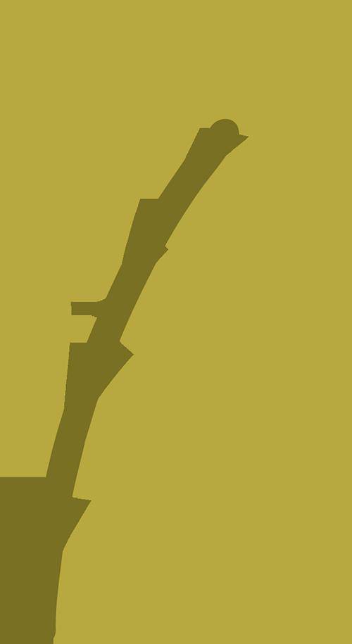 您的"财政惠民补贴卡"办理更方便_介绍信_携带本人_身份证