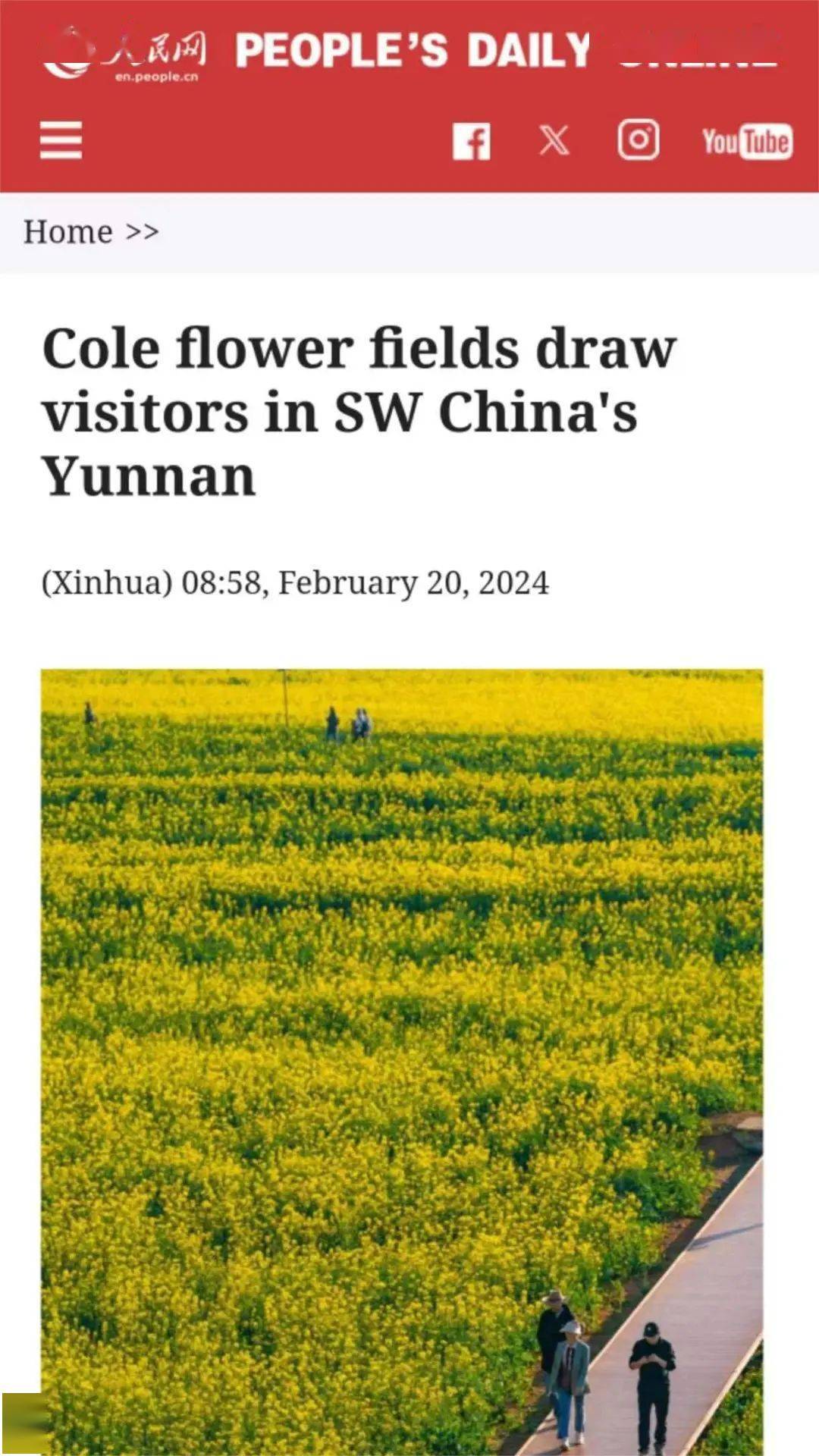 罗平这次火到国外去了!10多个国家,50余家外媒报道._曲靖_油菜花_媒体