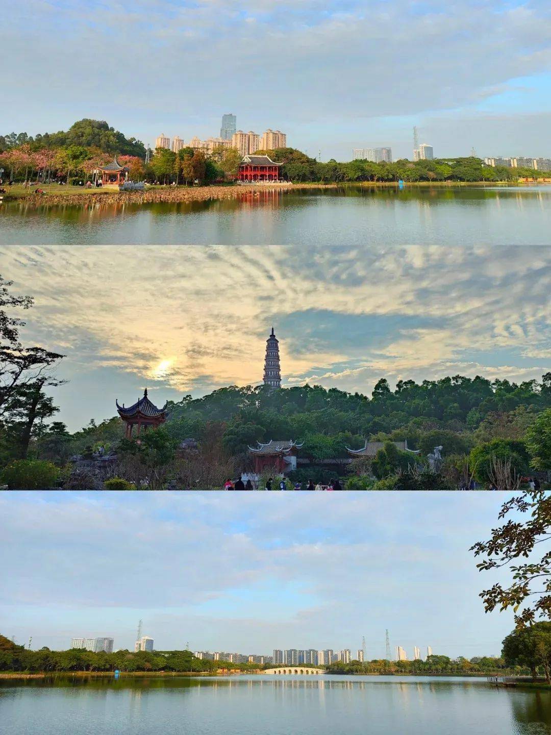 佛山50公里徒步,这些宝藏景点等你来打卡!_公园_市民_历史