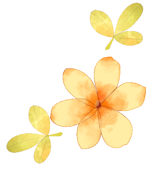 "早春使者"已登场,来这些地方打卡郁金香吧→_地址_普陀区_街道