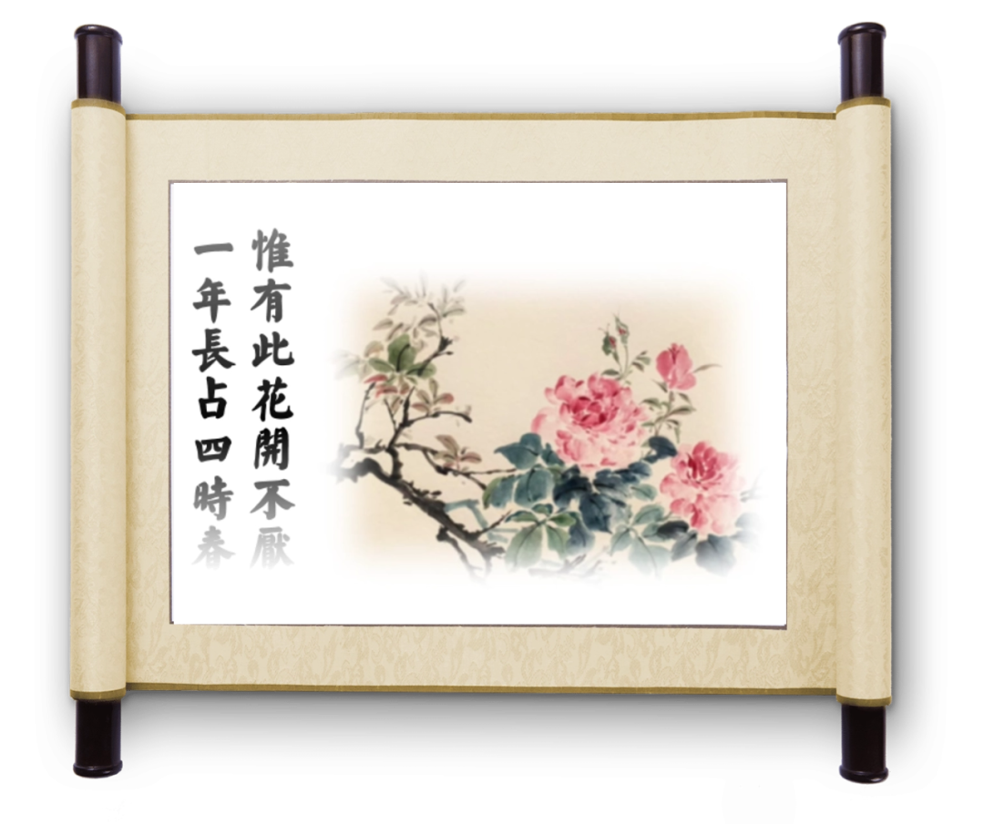 2024年"心有繁花 一路芳华"——泰达最美女人季三