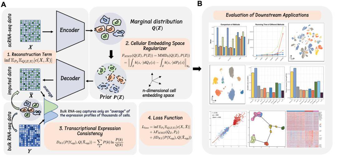 吉林大学李向涛as:分布无关的深度学习实现准确的单