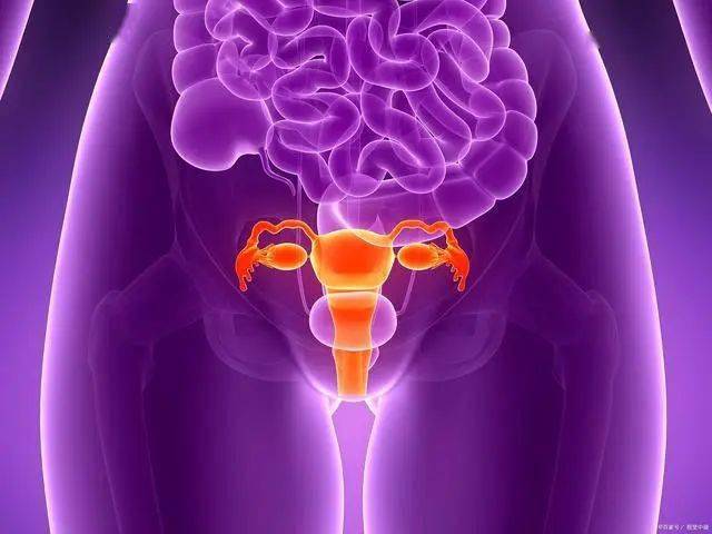 什么是黄体?黄体为什么会破裂?这有什么危害呢?_治疗_患者_手术